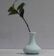 Small celadon vase, water culture and flower arrangement