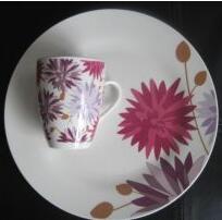 Ceramic tableware, bowl, bone, porcelain bowl, dish and Dish Set